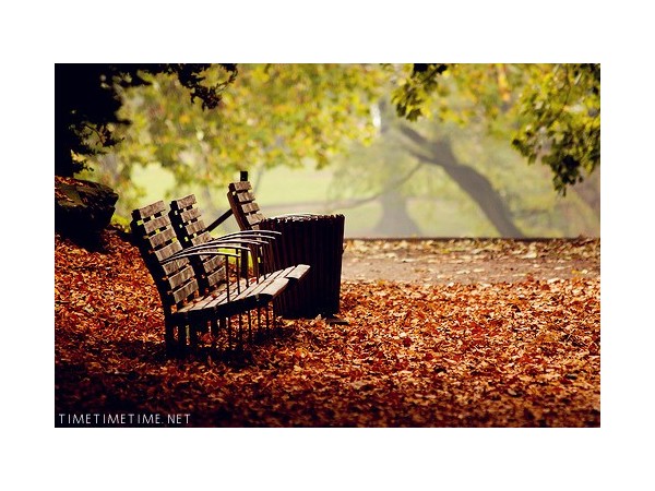 乐发IV分享-----把握好每一个属于自己的清晨